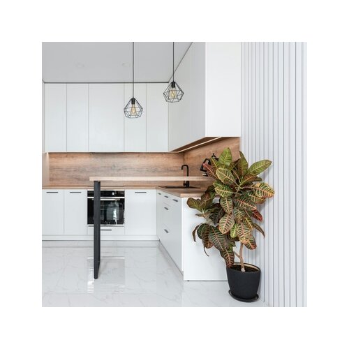 Zimmerpflanze XXL Codiaeum Iceton, Neutralware