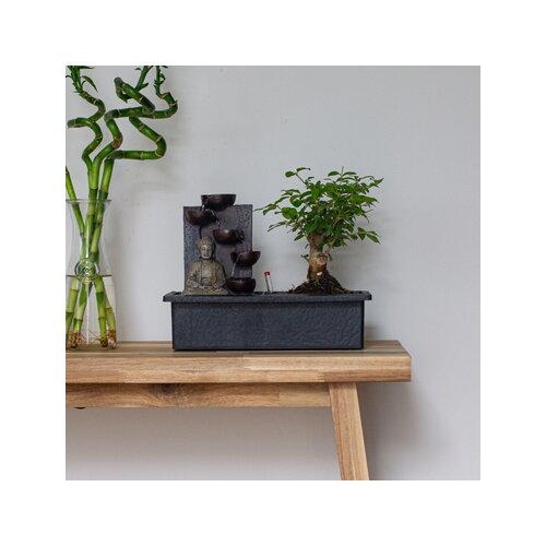 Zimmerpflanze Bonsai Wasserfall Set Buddha, Neutralware