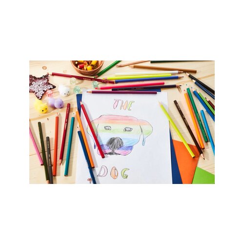 STABILO® Buntstift color Kartonetui 24 St./Pack.