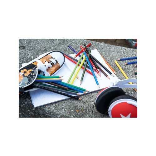 STABILO® Buntstift color Kartonetui 24 St./Pack.