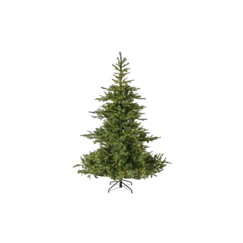 EVERLANDS Weihnachtsbaum Grandis Fir mit Beleuchtung 111 x 150 cm (Ø x H)
