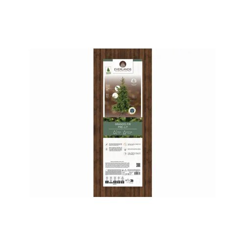 EVERLANDS Weihnachtsbaum Grandis Fir mit Beleuchtung 111 x 150 cm (Ø x H)
