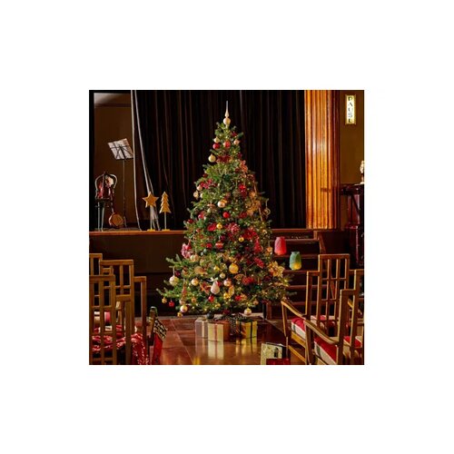 EVERLANDS Weihnachtsbaum Grandis Fir mit Beleuchtung 150 x 210 cm (Ø x H)
