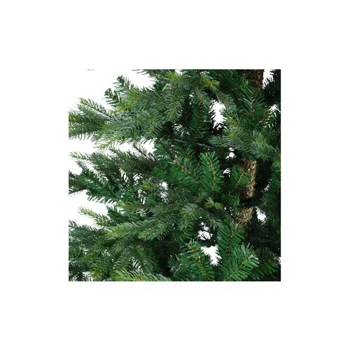 EVERLANDS Weihnachtsbaum Grandis Fir 250 x 450 cm (Ø x H)