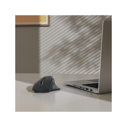 Hama Optische PC Maus WM-900