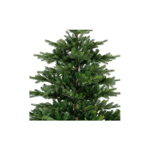 EVERLANDS Weihnachtsbaum Grandis Fir 250 x 450 cm (Ø x H)