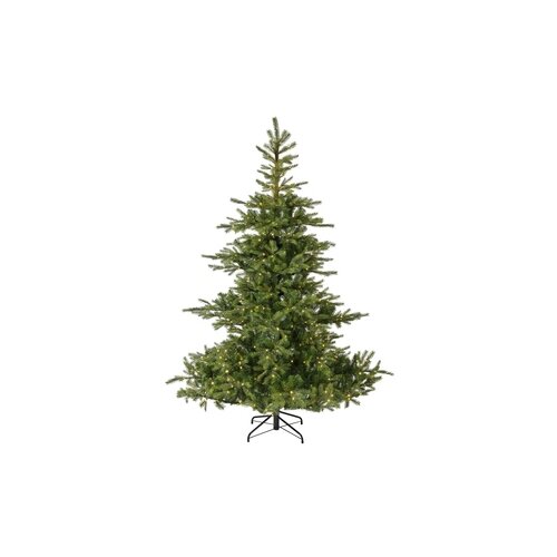 EVERLANDS Weihnachtsbaum Grandis Fir mit Beleuchtung 150 x 210 cm (Ø x H)