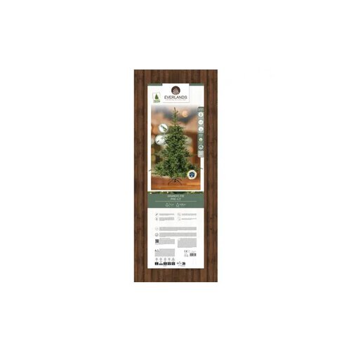 EVERLANDS Weihnachtsbaum Grandis Fir mit Beleuchtung 150 x 210 cm (Ø x H)