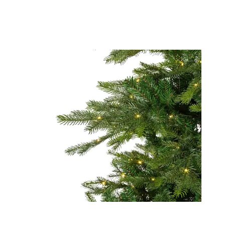 EVERLANDS Weihnachtsbaum Grandis Fir mit Beleuchtung 150 x 210 cm (Ø x H)