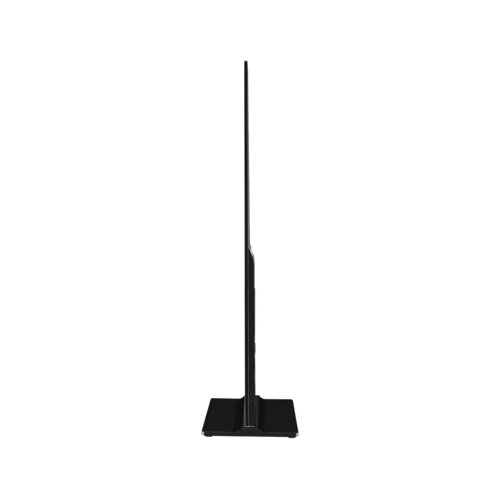 Clevertouch Professionelles Display CL Totem 55"