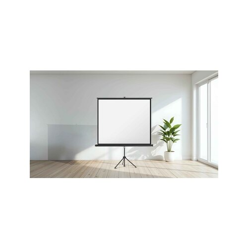 magnetoplan® Stativleinwand 240 x 135 cm (B x H)