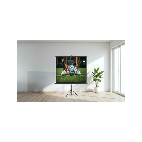magnetoplan® Stativleinwand 240 x 135 cm (B x H)