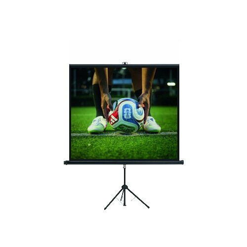 magnetoplan® Stativleinwand 240 x 135 cm (B x H)