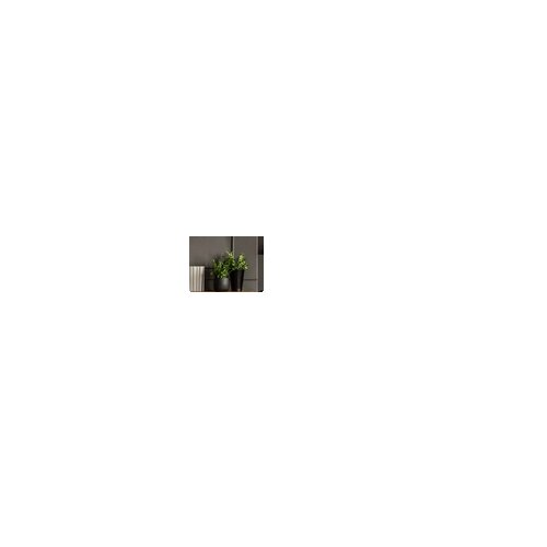 magnetoplan® Mobile Stativleinwand Pull-Up 180 x 135 cm (B x H)