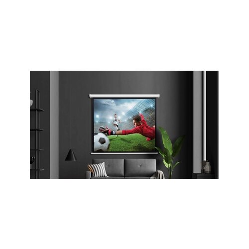 magnetoplan® Rolloleinwand elektrisch 240 x 135 cm (B x H)
