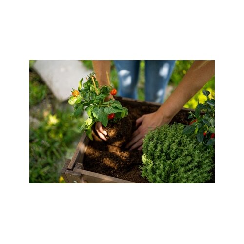 Floragard Hochbeet