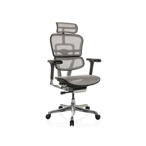 hjh OFFICE Bürodrehstuhl ERGOHUMAN GEN2