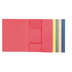 Neutralware 125027612 Sammelmappe A4 300g ch 
