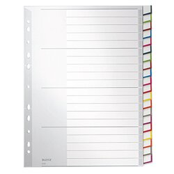 Leitz 12780000 Register blanko DIN A4 20teilig PP grau