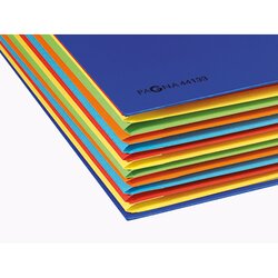 PAGNA Ordnungsmappe Deskorganizer Premium 12 Fächer