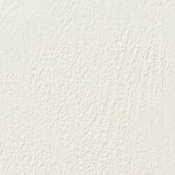 GBC® CE040070 Einbanddeckel LeatherGrain DIN A4 weiß 100 St./Pack.