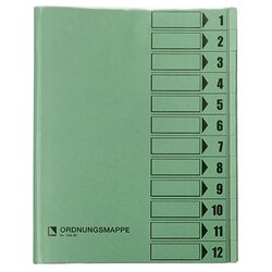 Bene 83800GN Ordnungsmappe DIN A4 12Fächer grün