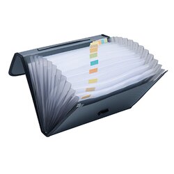 Neutralware 370003090 Fächertasche  A4 12Fächer sw