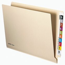 Leitz 24700011 Einstellmappe OCplus Karton 260g chamois 50 St./Pack.