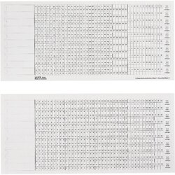 Leitz 61610001 Organisationsstreifen S1/2ws 100 St./Pack.