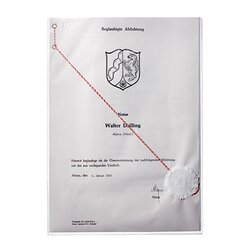 DURABLE 213119 Ausweishülle 210x297mm Polypropylen transparent