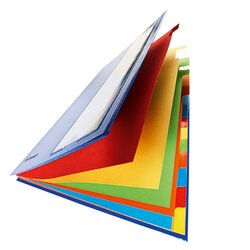 PAGNA Ordnungsmappe Deskorganizer Premium 12 Fächer