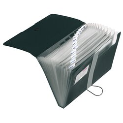 Herlitz 11208394 Fächermappe easy orga to go A4 12Fächer PP schwarz