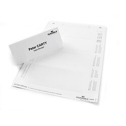 DURABLE Einsteckschild BADGEMAKER® 61 x 150 mm (B x H)