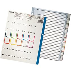 Leitz 43700000 Register blanko DIN A4 10teilig PP grau