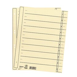 Esselte 621017 Trennblatt DIN A4 24x30cm 10/20Taben ch 100 St./Pa