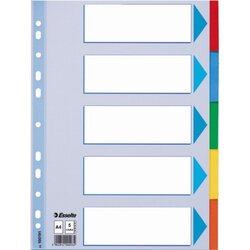 Esselte 100191 Register Karton A4 5Taben 