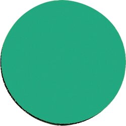 FRANKEN M861 02 Franken Magnet Kreis 10mm 10g grün 50 St./Pack.