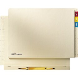 Leitz 24420011 Einstellhefter Orgacolor DIN A4 RC chamois