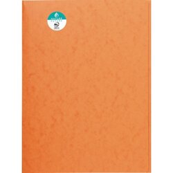 Exacompta 56409E Sammelmappe DIN A4 3Klappen Karton orange