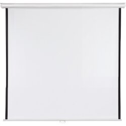 FRANKEN LWR22424 Rolloleinwand 240x240cm 