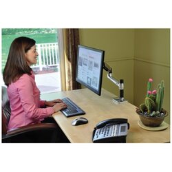 ERGOTRON Monitorschwenkarm LX 1 Arm schwarz/silber
