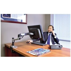 ERGOTRON Monitorschwenkarm LX 1 Arm schwarz/silber