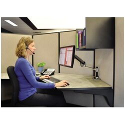 ERGOTRON Monitorschwenkarm LX 1 Arm schwarz/silber