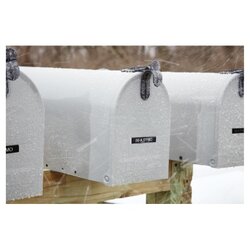 DYMO® Schriftbandkassette D1