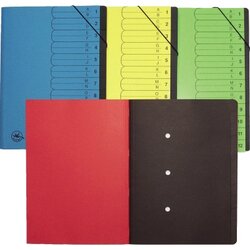 Neutralware 127003210 Ordnungsmappe A4 12Fächer 420g ge
