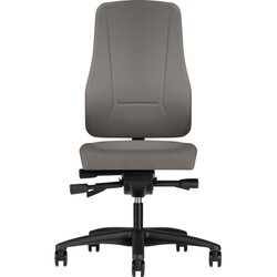 prosedia 2456-5802 Drehstuhl Younico Pro grau 