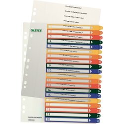 Leitz 12960000 Register A4 PP-Folie PC-beschriftbar 1-20 tr