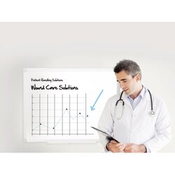 Bi-office Whiteboard Maya