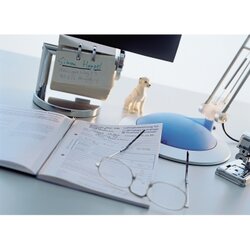 Avery Zweckform Lohnabrechnung 506