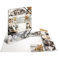 HERMA 19219 HERMA Sammelmappe A3 Katzen